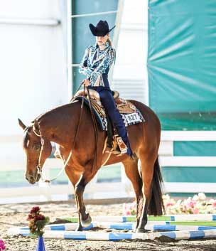aqha-trail-horse-with-rider