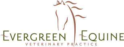 evergreen-equine-veterinary-practice-logo